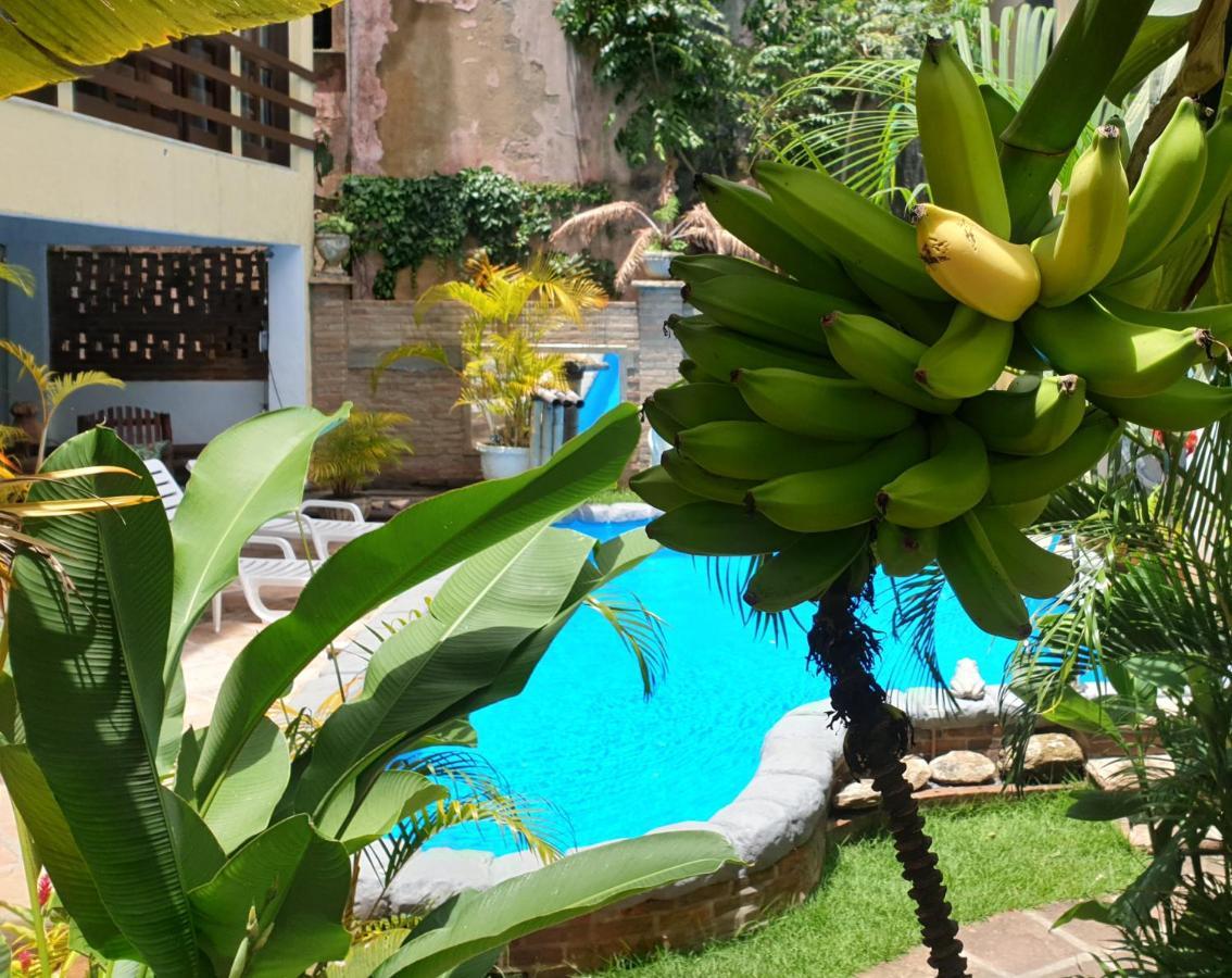 Aparthotel Bahiatropical Canavieiras  Dış mekan fotoğraf